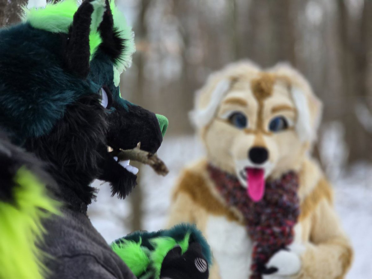 Ye, and @Dash_Goodboy looked upon my stick, and his eyes were filled with avarice
#FursuitsFriday #Furry