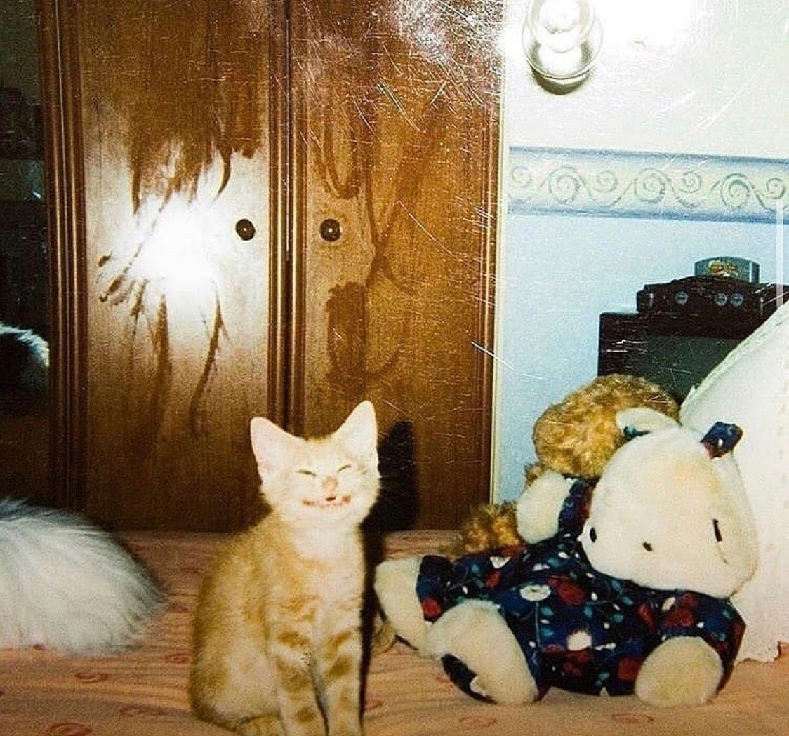 Filho dá um sorriso pra mamãe