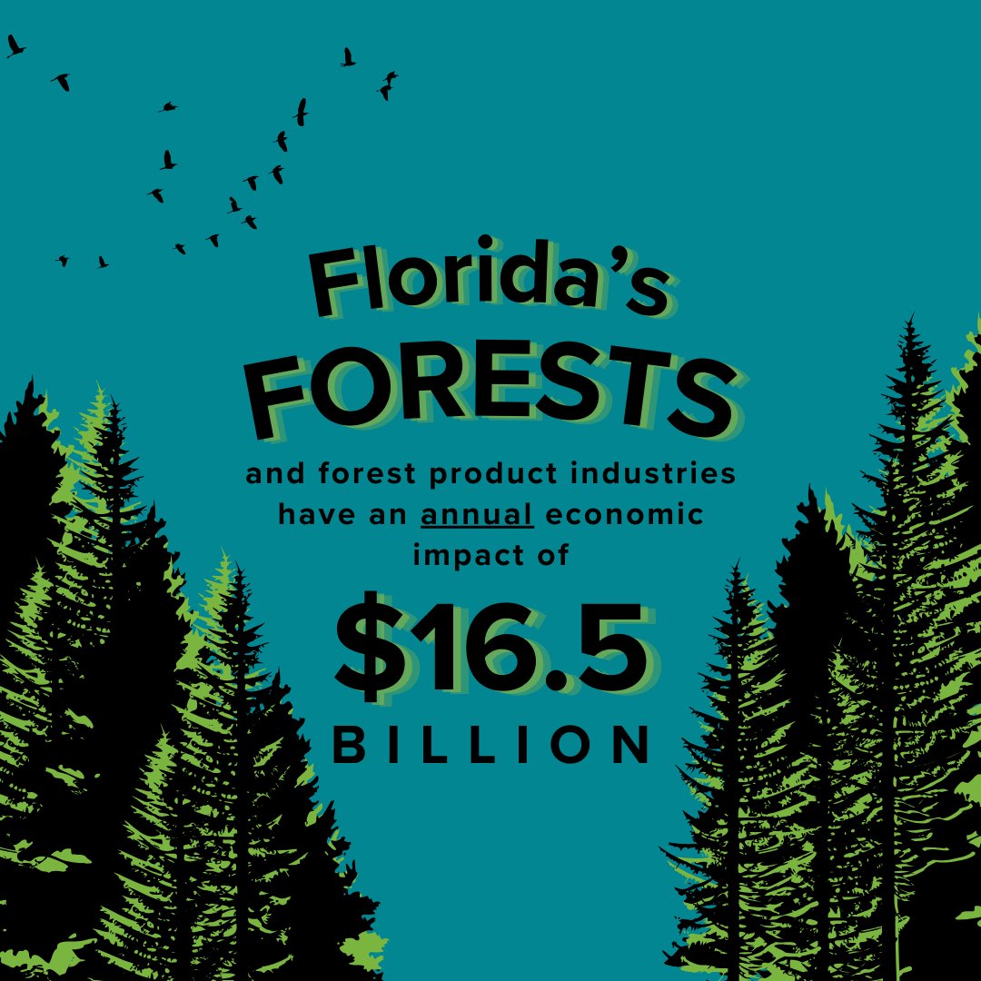 Live Wildly tweet media