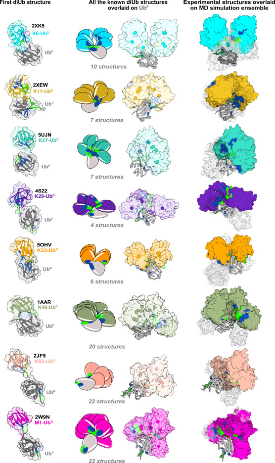 Molecular Cell (@molecularcell) on Twitter photo Ubiquitin—A structural perspective dlvr.it/THQb7J Ubiquitin—A structural perspective dlvr.it/THQb7J