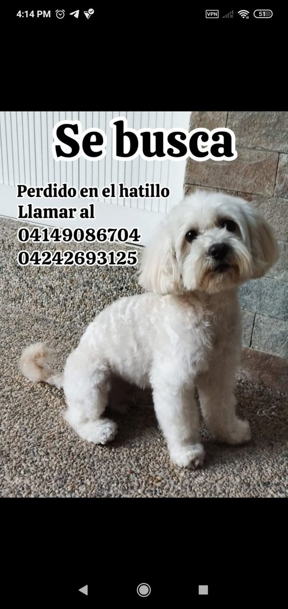 Magdalena Noda (@magdanoda) on Twitter photo 