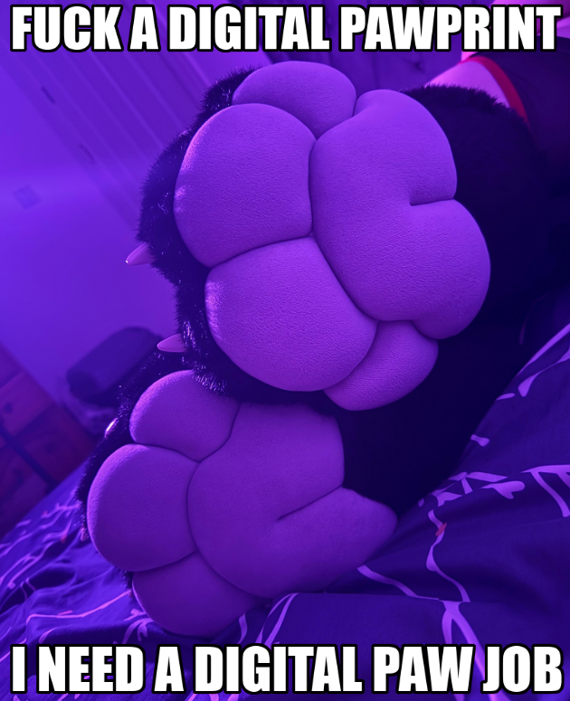 🌿Fern🌿 tweet media