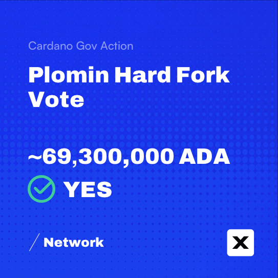 XRAY/Network tweet media