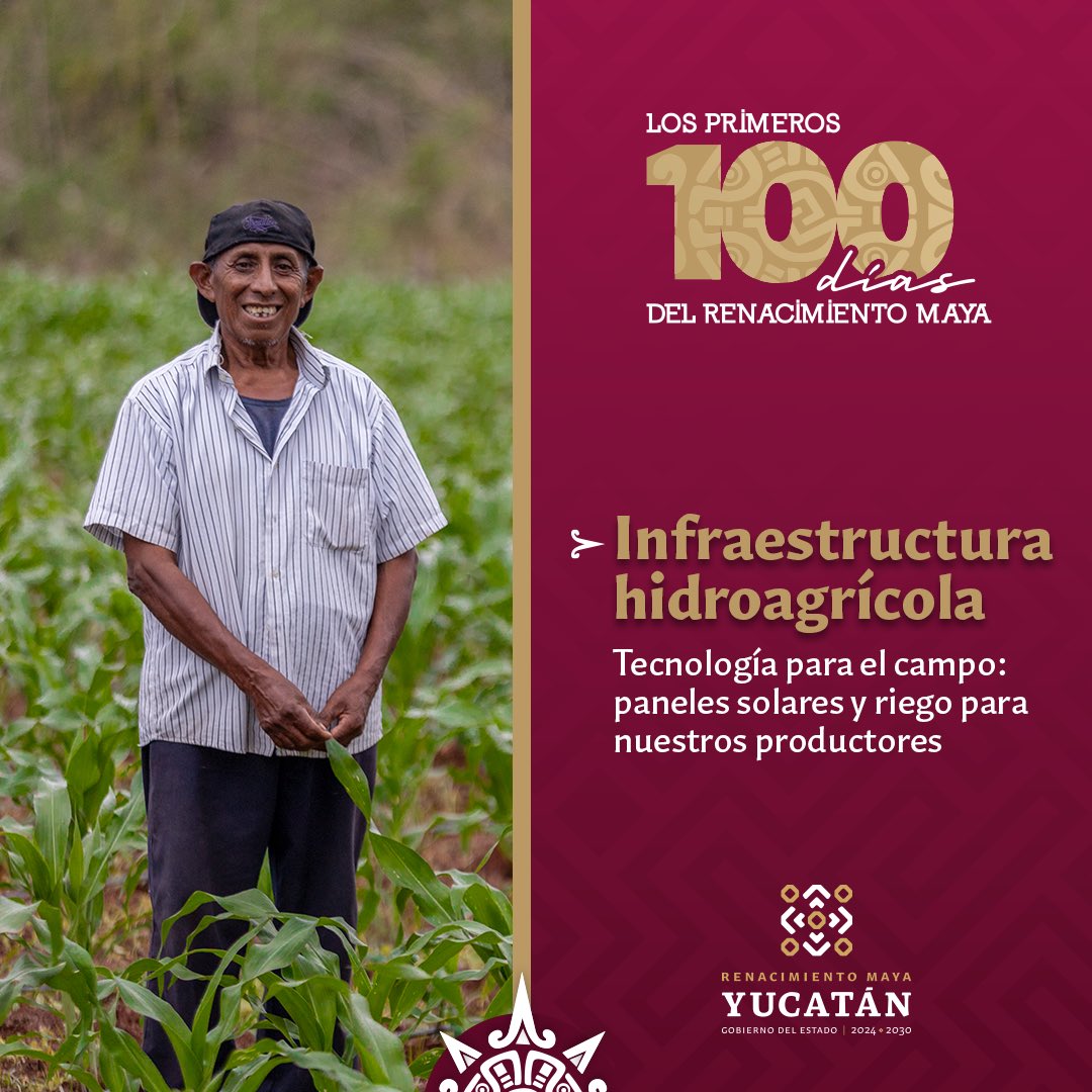utmerida's tweet photo. 🫱🏼‍🫲🏽100 días fortaleciendo el campo
✅$108 MDP para paneles solares y riego, impulsando la agricultura sostenible.
✅$100 MDP para caminos saca cosechas, conectando comunidades.
Generamos oportunidades y atendemos necesidades históricas.

#100DíasRenaciendoYucatán https://t.co/wl9QosERgH