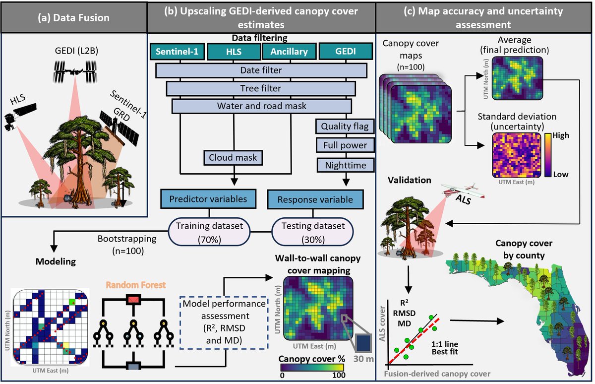 Moniquebschlick's tweet image. Thrilled to announce that my 1st PhD chapter on data fusion for canopy cover mapping in Florida has just been published! 🎊🌲📡 Check it out here: mdpi.com/3138712 #RemoteSensing #Forestry #LiDARdata