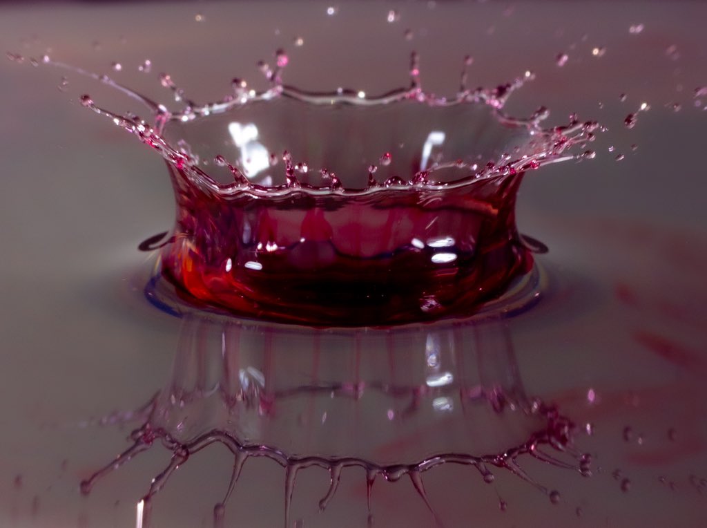 LittleArtPhotag artist tweet media