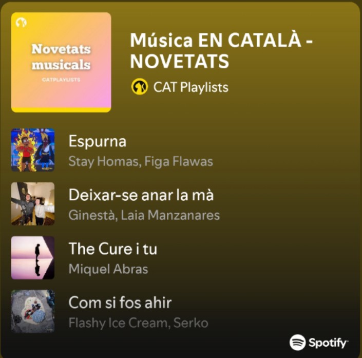 CatPlaylists tweet media