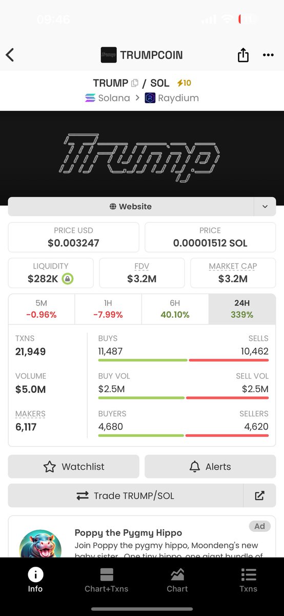 Tekkerrss's tweet photo. Someone shilled me this so I bidded since morning 

$dogecoin

Elon office of $dogecoin will resume by inauguration. With this being the meta this will catch up with others 

6QBYdcsdf9aZr2Zih67Uvh9tMNDpte8562F2SRwBpump https://t.co/k4JXy3nt6a