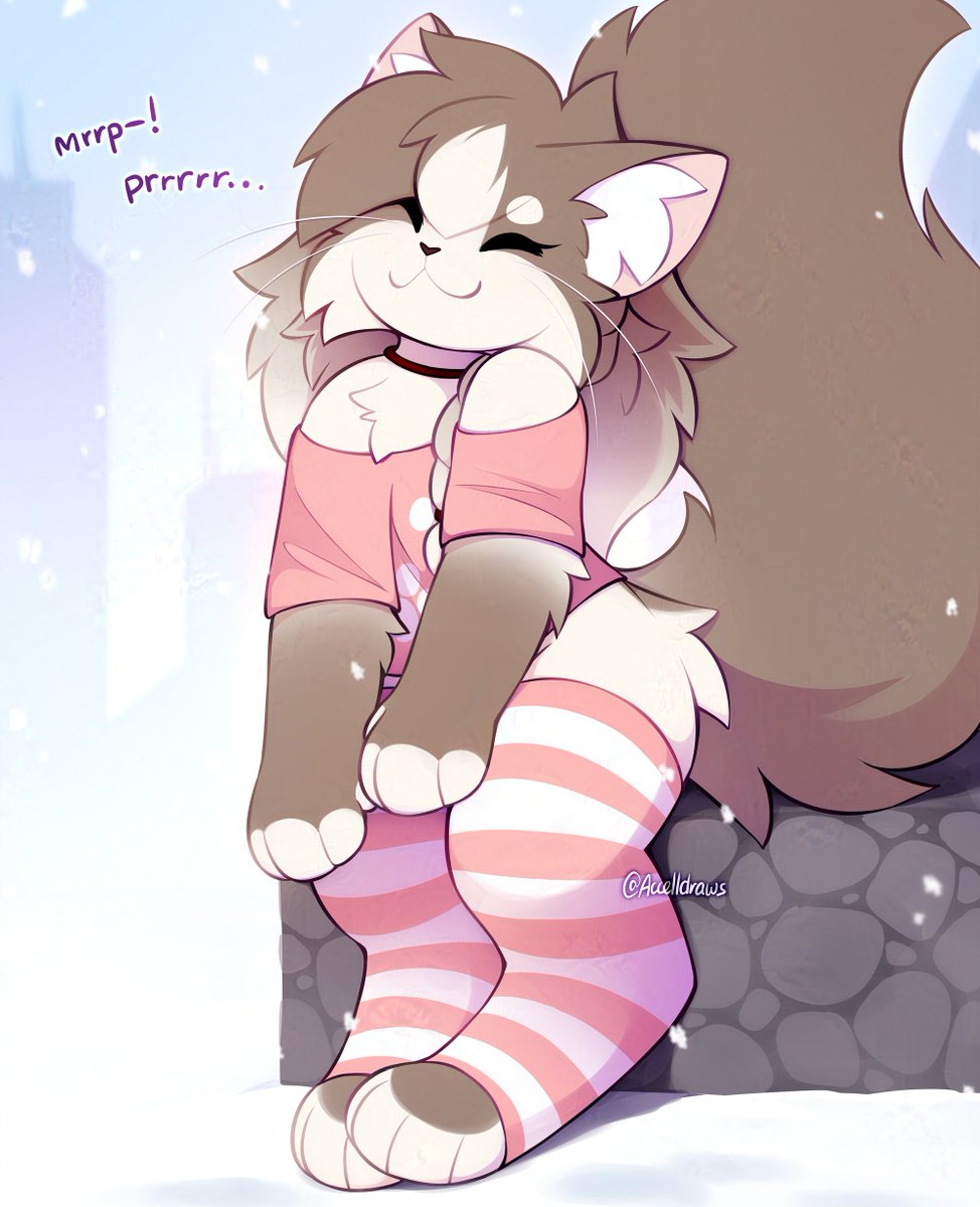 fluffy ragdoll kitty! 🐱
she can prrrrrr very loudly...