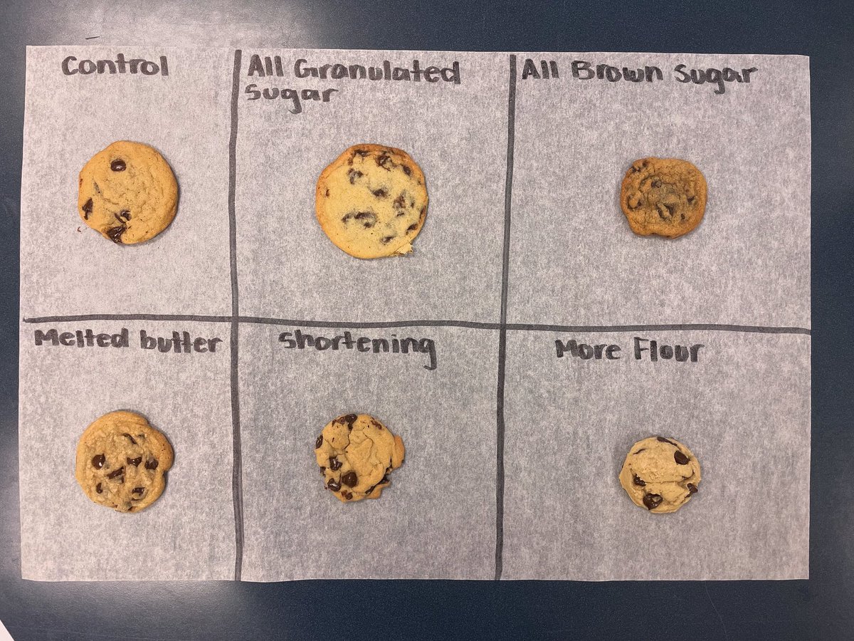 LHS210Krolo's tweet photo. The Great Ingredient Cookie Experiment in Advanced Baking 🍪 
#WeAreLemont https://t.co/09ks8qqAvK
