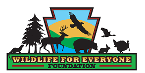 Wildlife4Every1's tweet photo. Scholarship Opportunity! Deadline Feb. 14, 2025
Wildlife For Everyone Foundation will be awarding up to five $1000 scholarships. Check https://t.co/c2gUMjf9mT for more information. https://t.co/I7s6NnwJvJ