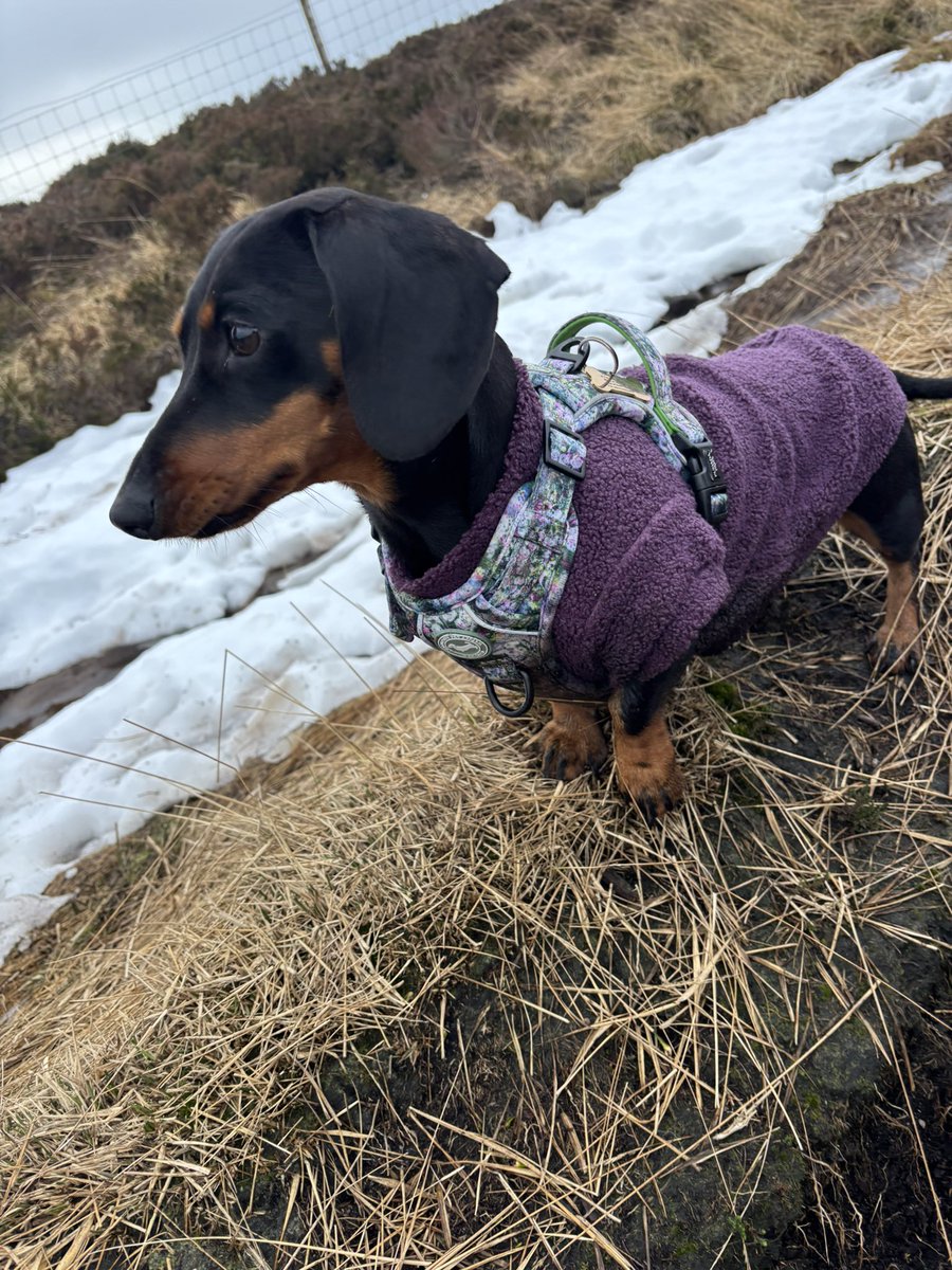 Hayley Birkinshaw tweet media