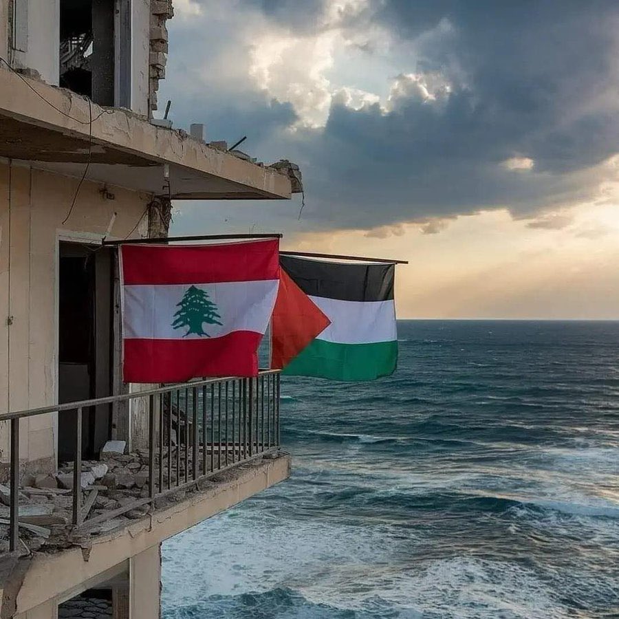 لو كانت تخشى غزة وبيروت البحر.. ما جاورته.