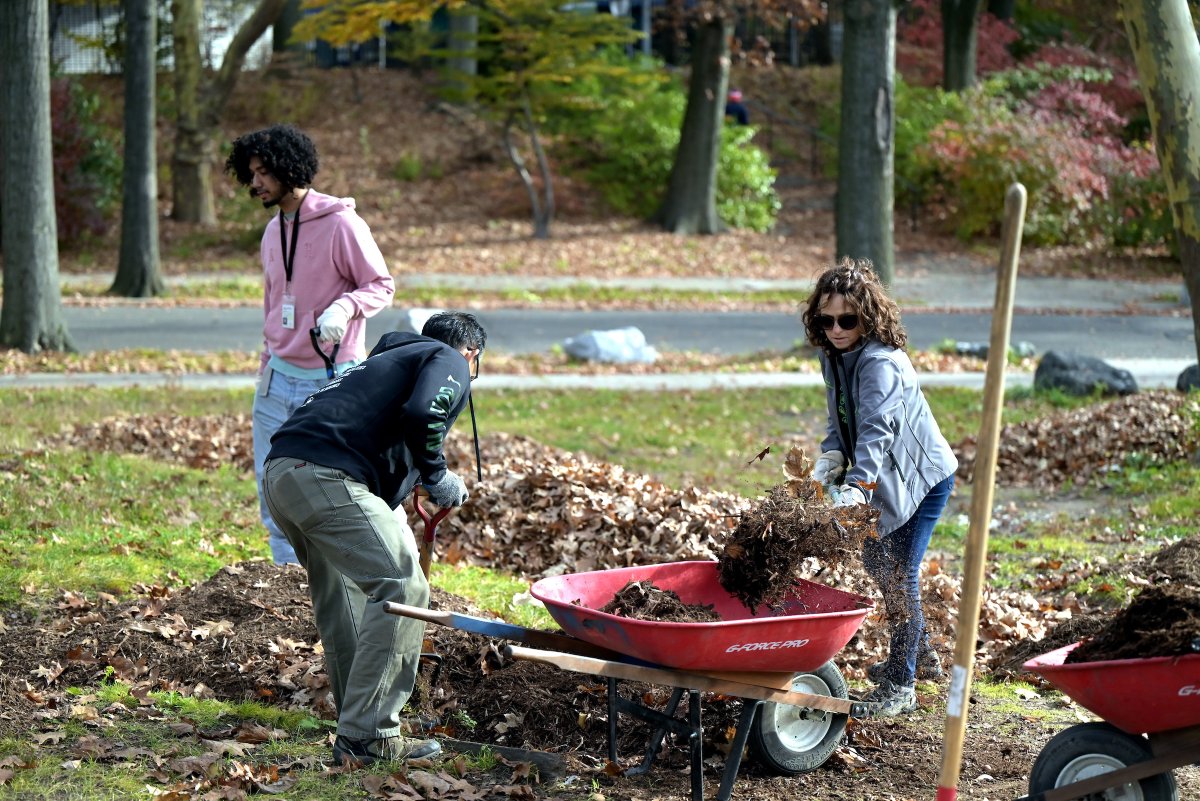 Celebrate the life and legacy of Rev. Dr. Martin Luther King Jr. by joining us and other volunteers across the five boroughs for a Day of Service! From our gardens and parks to our trails and street trees, find a place to make a difference near you: on.nyc.gov/3tDz4hC