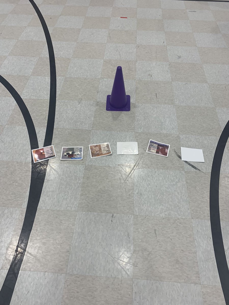 MoorefieldPE tweet media