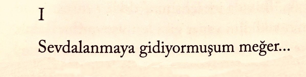 Seni gördüğüm günü günlüğüme bahsedişim..