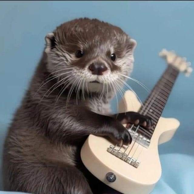 legalJose13's tweet photo. 🦦🎸 https://t.co/oAK5L5EdbK