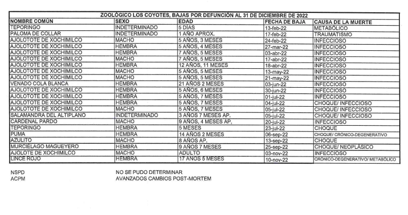 Lucía Hernández | Amo La Ciencia tweet media