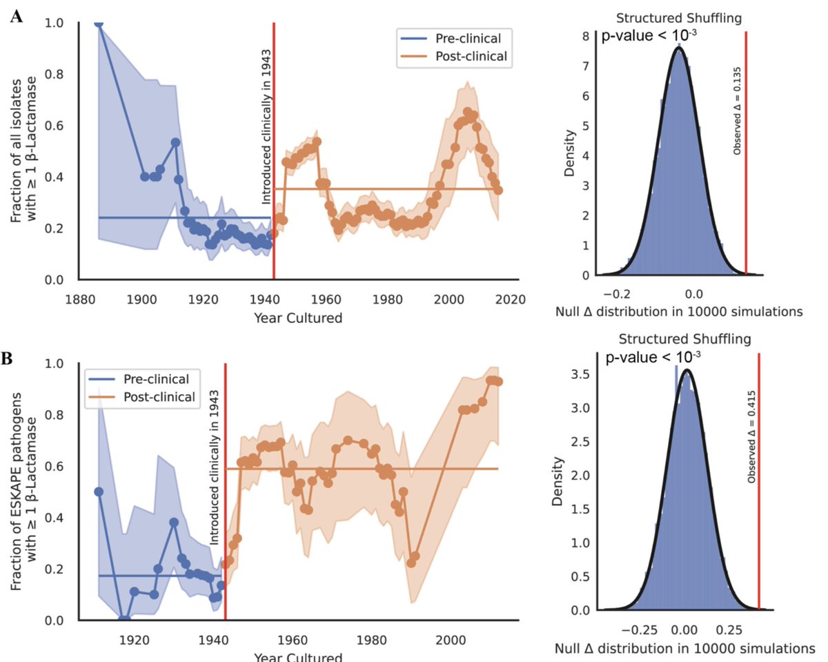 This paper has been a long time coming: We looked at the genomes of historical bacterial samples over a century to look for trends of antibiotic resistance genes, finding multiple instances of them in infections before the age of antibiotics...