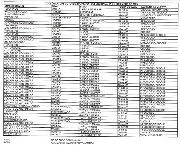 Lucía Hernández | Amo La Ciencia tweet media