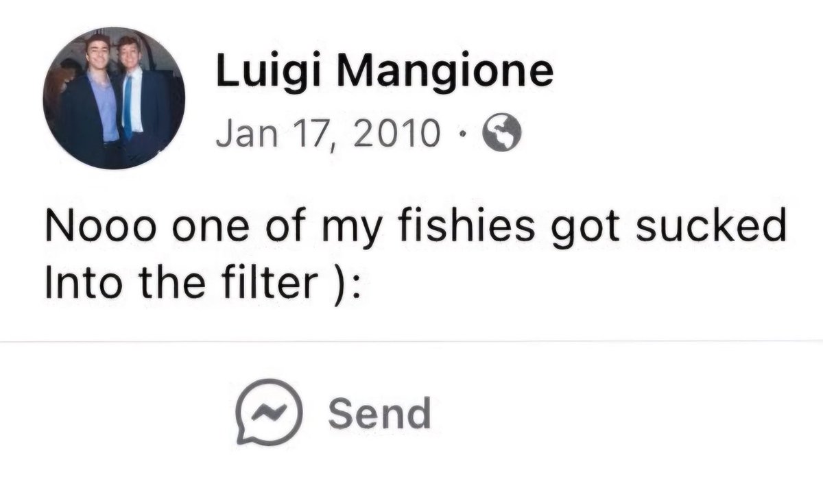 Luigi Nation tweet media