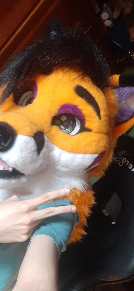 FoxyCV tweet media