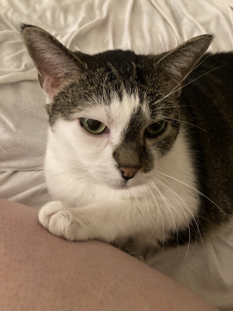 Hay. It will be All Rite. Listen to Skidl.