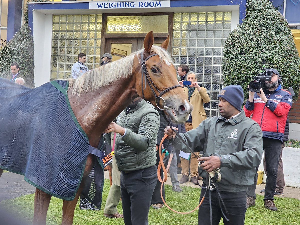 Mike Parcej (@mikeparcej) on Twitter photo And so to the victory we all wanted! After the Ascot mishap, everyone's favourite Secret Squirrel fights off Kabral Du Mathan, for <a href="/Hughiemorrison2/">Hughiemorrison</a> and <a href="/NdeBoinville/">Nico de Boinville</a> . These are the horses that make our sport special, the lovely unique markings on a real four legged character. And so to the victory we all wanted! After the Ascot mishap, everyone's favourite Secret Squirrel fights off Kabral Du Mathan, for <a href="/Hughiemorrison2/">Hughiemorrison</a> and <a href="/NdeBoinville/">Nico de Boinville</a> . These are the horses that make our sport special, the lovely unique markings on a real four legged character.