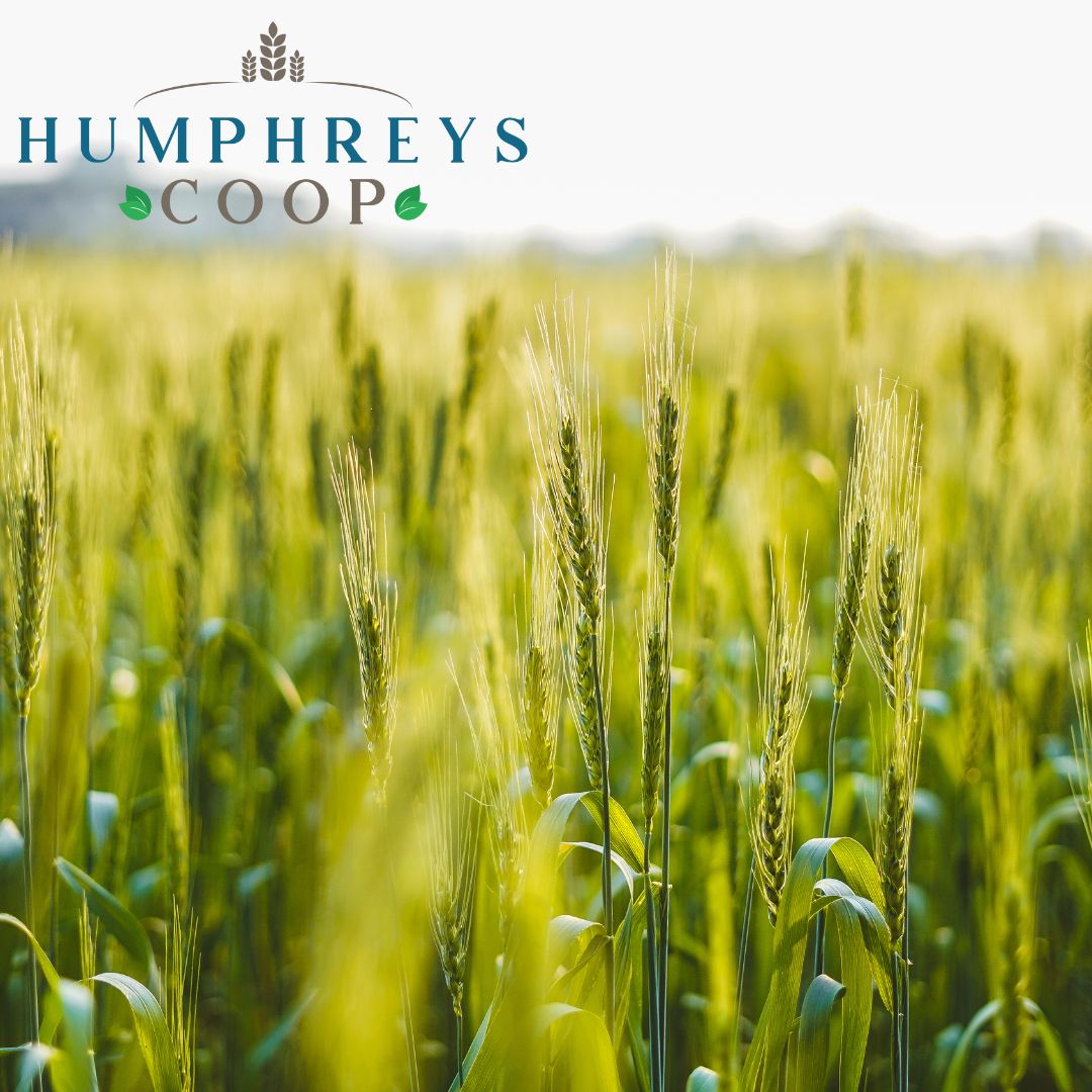 Winter is the perfect time to prepare for the year ahead, and we’re here to help you every step of the way. 🌾📈💻

Whether you’re planning your next crop or navigating the markets, our agronomic and marketing services are designed to meet your needs. 

And don’t forget ...