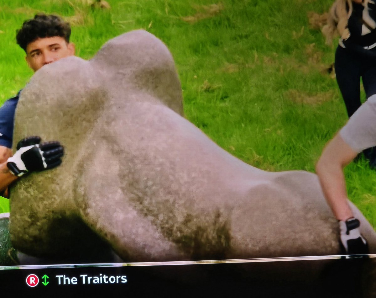 #TheTraitorsUK there was no need to make this look so much like a cock and balls 😂 Poor Freddie