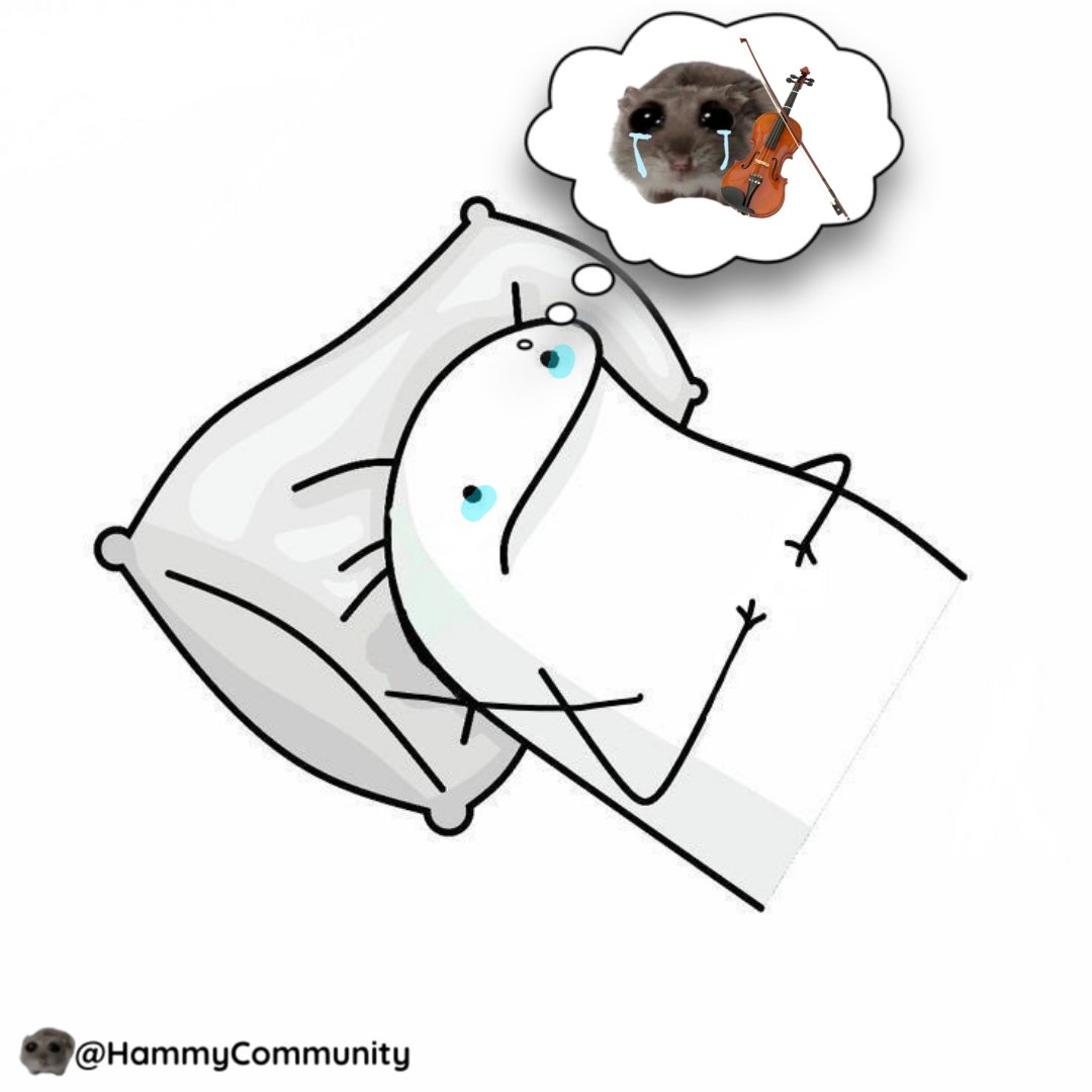 sadhampoter's tweet photo. @miragemunny and i just be thinking about $hammy https://t.co/5Hin46WjiP
