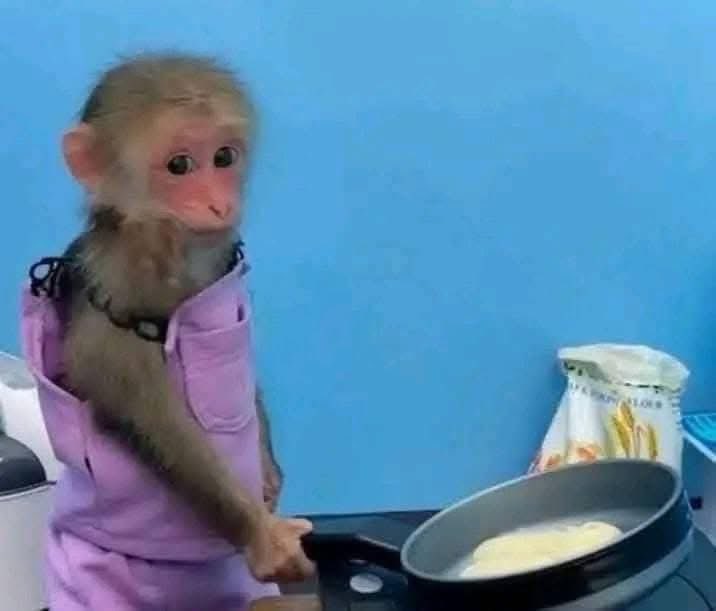 no les pasa que están en un grupo y sienten que no encajan con el ritmo que llevan? tipo, eres un random dentro de esa familia