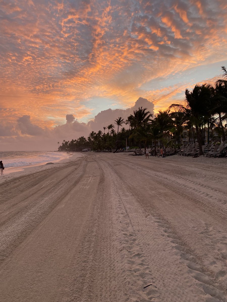 Yaz aylarında, senenin bu dönemlerinde Fosil arkadaşlarımla Baldurs Gate 3 oynamayı planlıyorduk. Kendimi hiç beklemediğim bir şekilde buralarda buldum. 

Son 13 senenin en garip 1 ayını yaşıyorum.

Evime döndüm, bedenimdeyim fakat aklım ve kalbim başka bir kıtada kaldı.