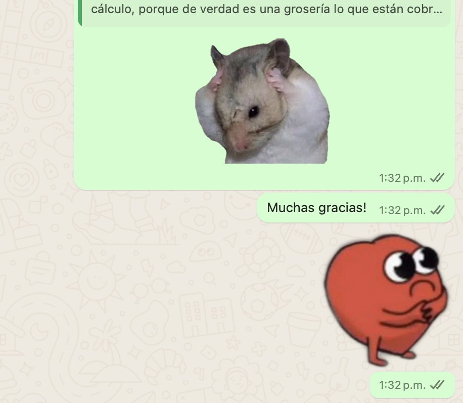 Yo, la más profesional, hablando con mi contadorx.
