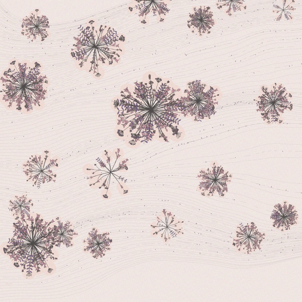 Metamorphed tweet media