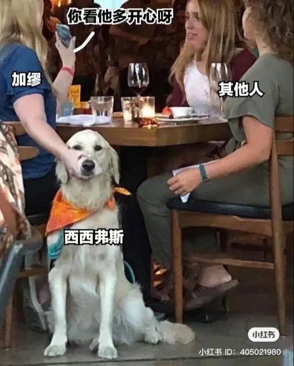 karasu_ga_warau's tweet image. 《中國的舌頭，外國的舌頭》

樂樂法利新一期關於 #小紅書 的視頻恰好提到了那個會讓人極其不安的憂慮：外國人把中國人在言論審查之下表現出的言談舉止看作是「應當尊重的文化」而非「極權之下的傷口」。…