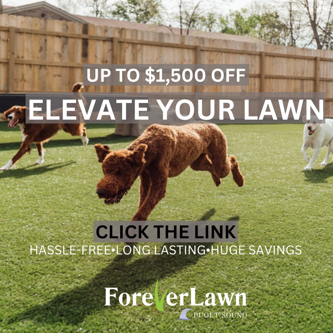 With up to $1,500 off, now is the time upgrade your lawn with K9 Grass. Low-maintenance, pet-friendly, and proudly endorsed by Cesar Millan, it’s the ultimate choice for you and your furry friends.
foreverlawnps.com/contact