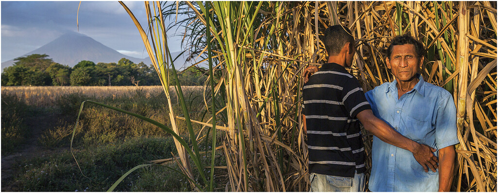 Editors’ Choice 2024: The Kidney Community's Role in Natural Disasters and Climate Change

Climate change has led to the increased frequency and severity of extreme weather events, which pose challenges for patients dependent on dialysis. In this article, Dr. Matthew Blum