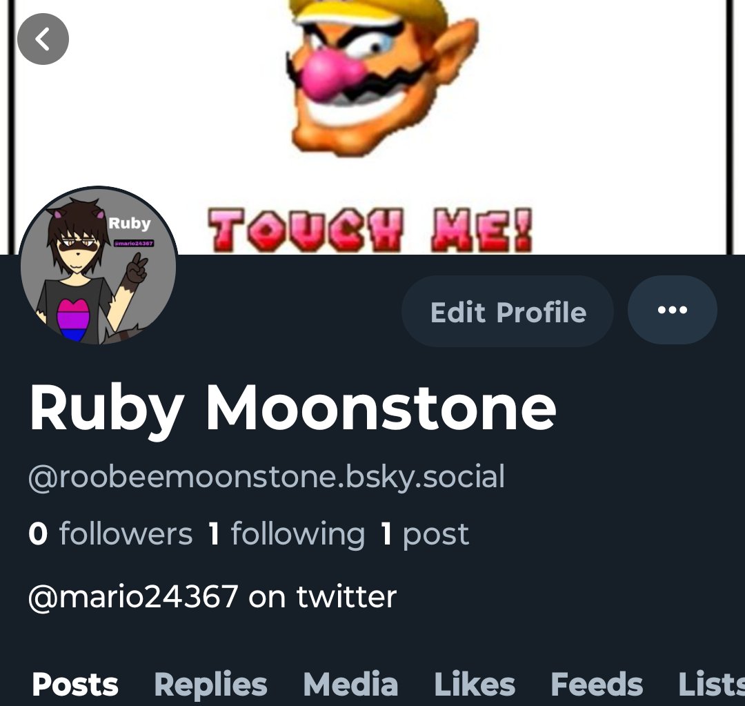 mario24367's tweet image. Check these out cuz twitter sucks 

youtube.com/@roobeemoonsto…