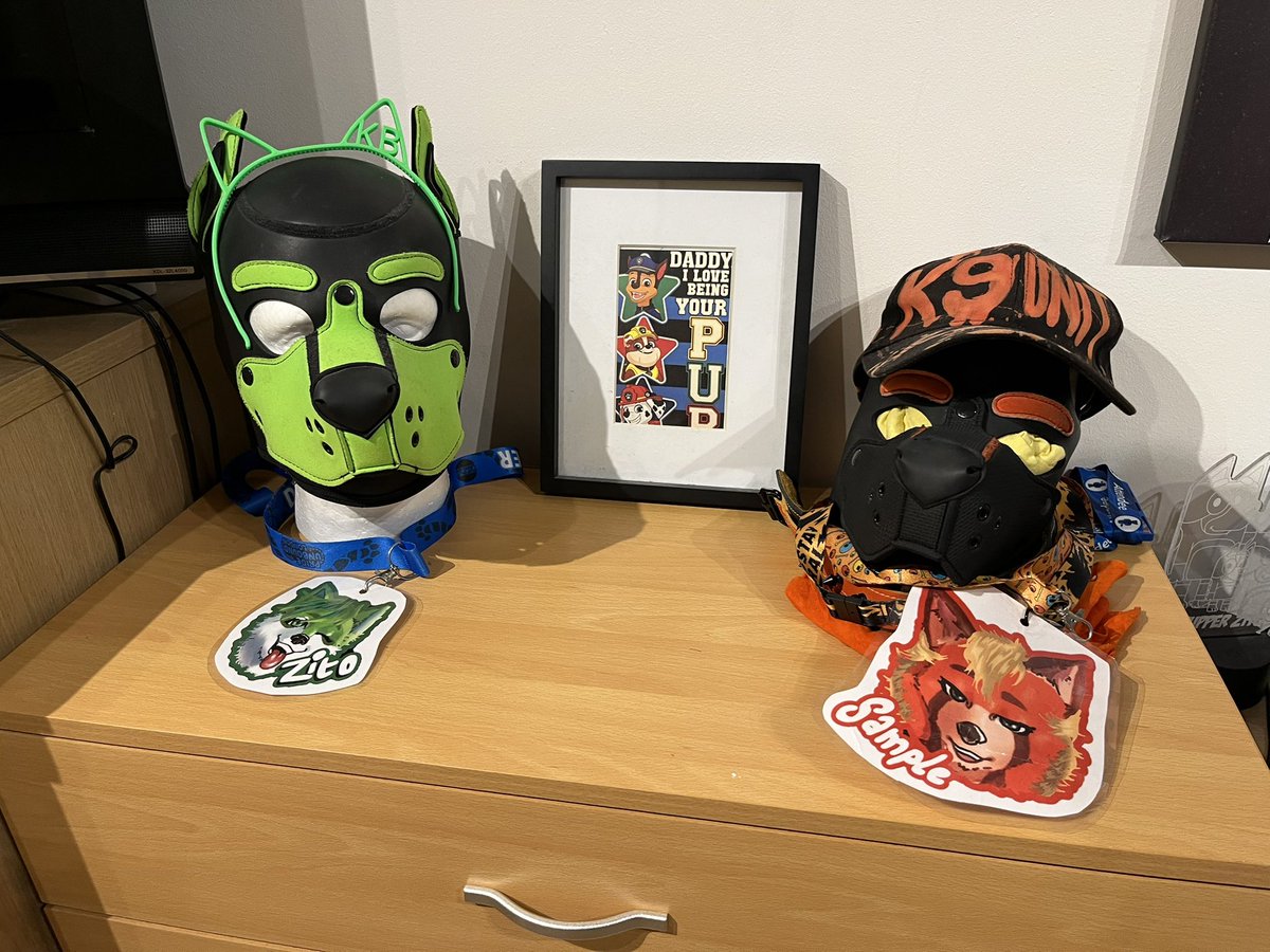 Pupper Zito tweet media