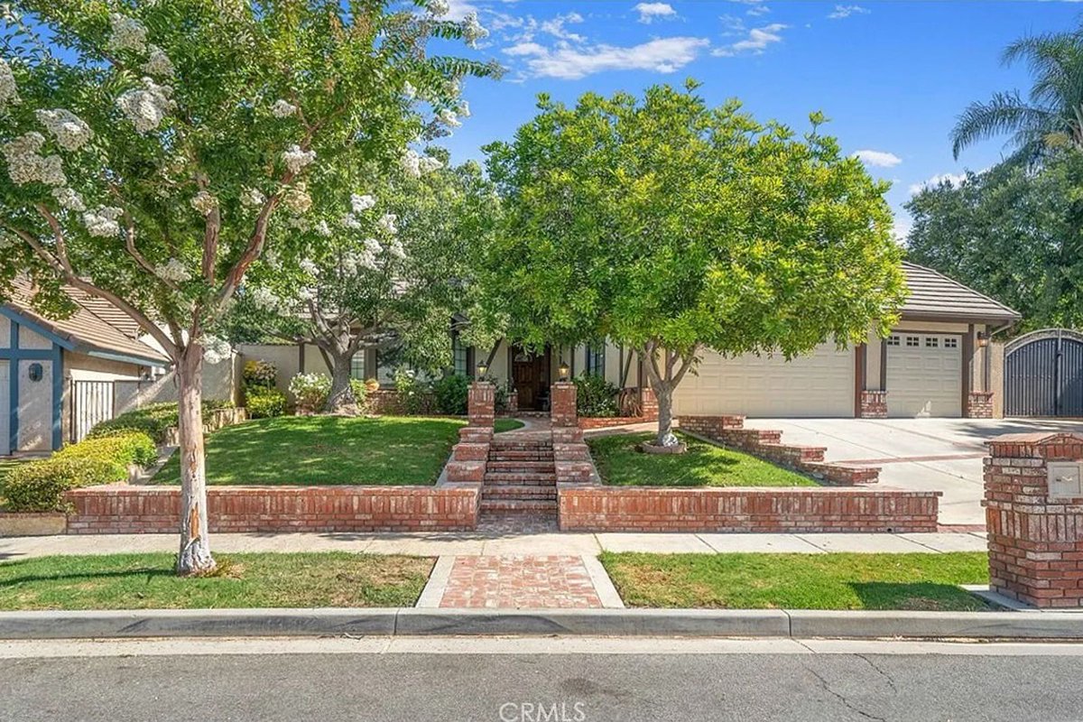 Reel-Scout, Inc. tweet media