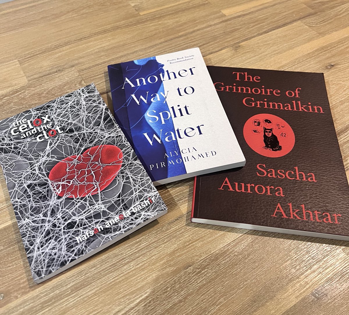 Hafsah Aneela Bashir tweet media