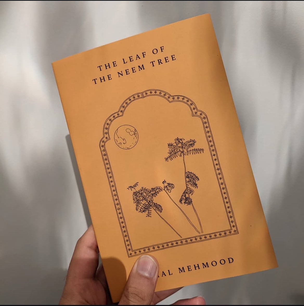 Hafsah Aneela Bashir tweet media