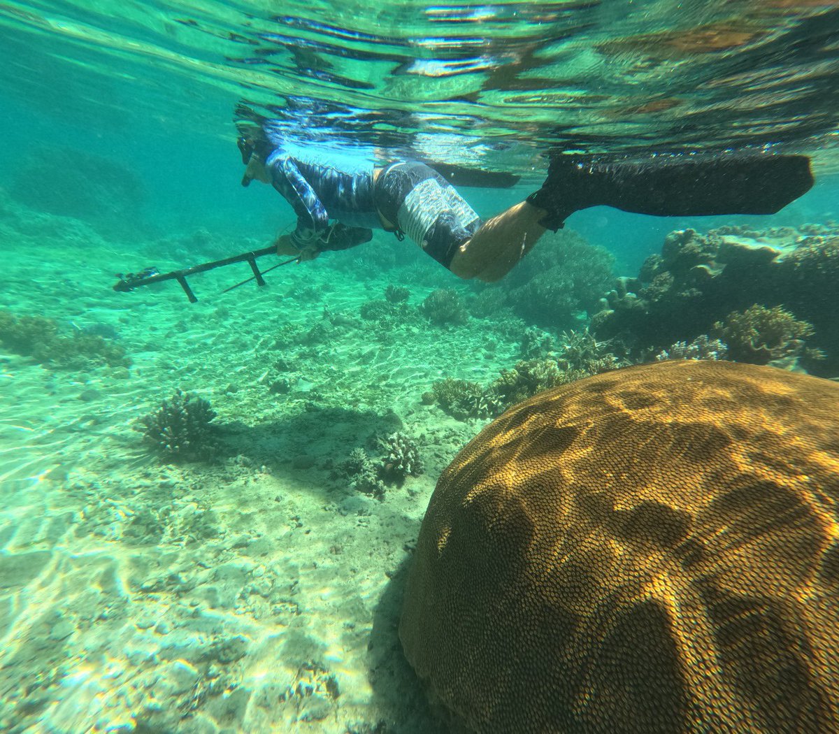 Emily G Mitchell tweet media