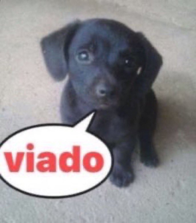 𝗍𝗁𝖾 𝖼𝖾𝗈 ‍, ‍𝗮𝗱𝗰 . tweet media