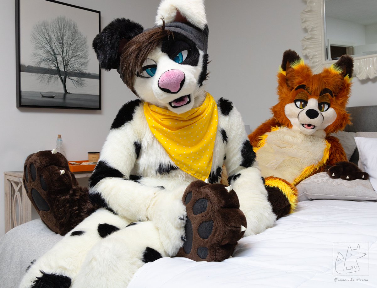 Dally Doggo (@dallydoggo) on Twitter photo There's room for more if you wanna join~ I give good paw rubs! πΎ
Happy #FursuitFriday!
π₯ <a href="/theBattercake/">Name cannot be blank</a>
πΈ <a href="/LavenderFoxxo/">πͺ»π Lavender Fox ππͺ»π AC Megaplex</a>
#fursuit #footpaws #paws #footpawfriday There's room for more if you wanna join~ I give good paw rubs! πΎ
Happy #FursuitFriday!
π₯ <a href="/theBattercake/">Name cannot be blank</a>
πΈ <a href="/LavenderFoxxo/">πͺ»π Lavender Fox ππͺ»π AC Megaplex</a>
#fursuit #footpaws #paws #footpawfriday
