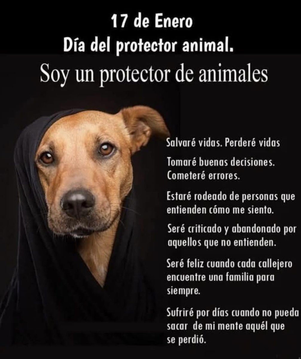 Felicidades a todas y todos!!! 🙏🏻🐶🙏🏻