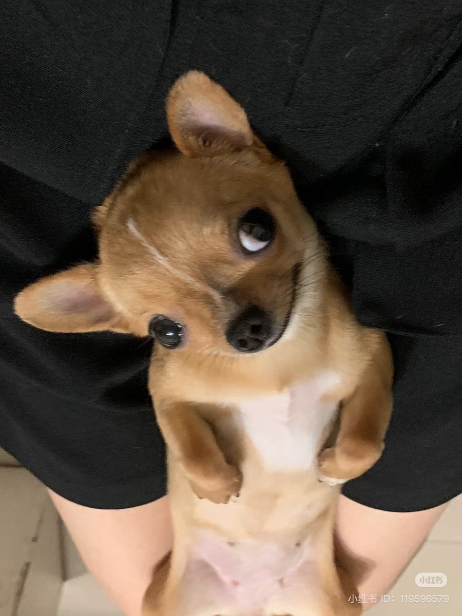 twaniimals's tweet photo. https://t.co/2jVH3xIScb