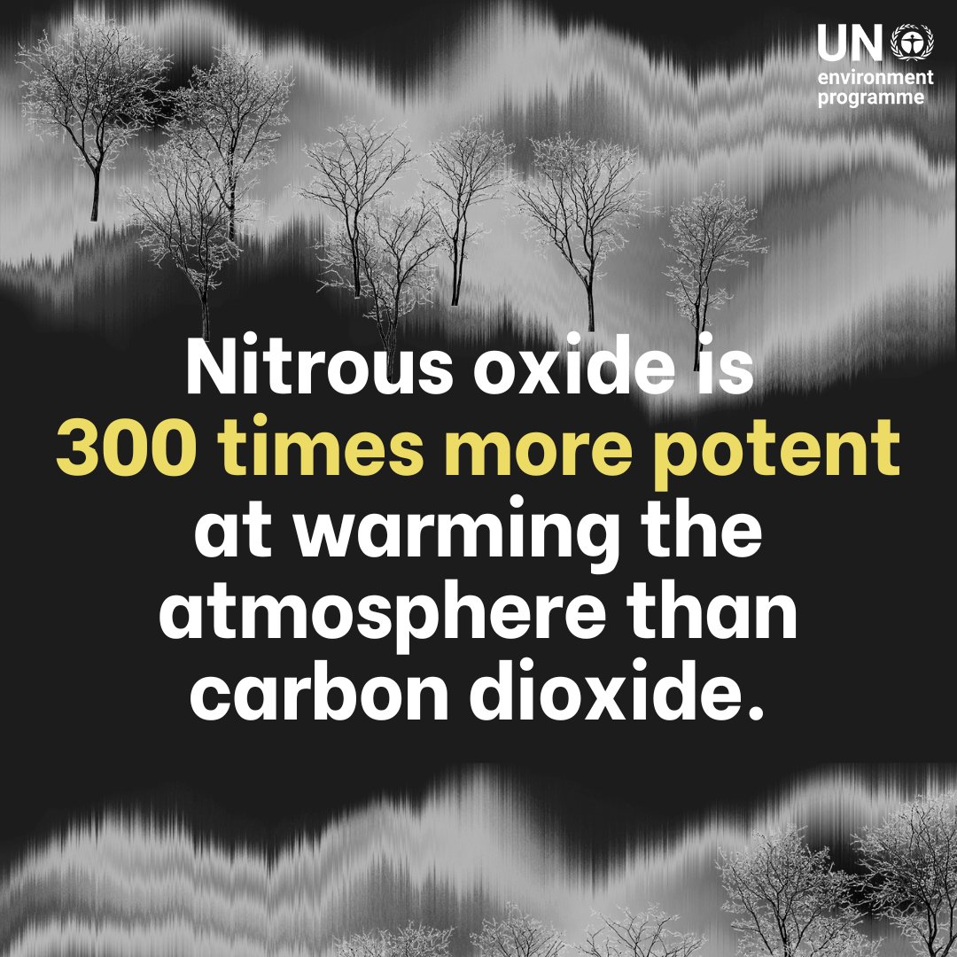 When addressing the climate crisis, the focus often centers on carbon dioxide emissions &amp; methane. Yet nitrous oxide is 300 times more potent &amp; remains active in the atmosphere for more than 100 years.

More on how to #BeatNitrogenPollution: bit.ly/4h08emY