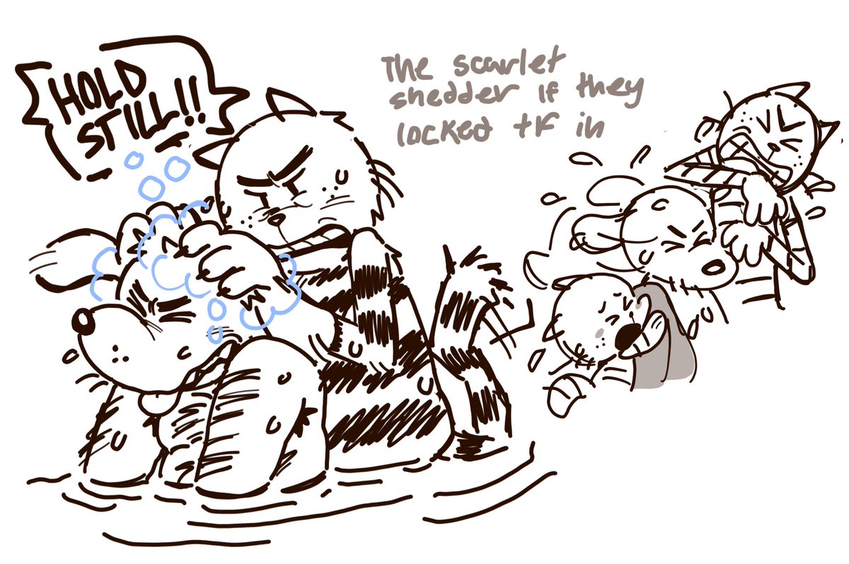 * Sal/Sally * tweet media